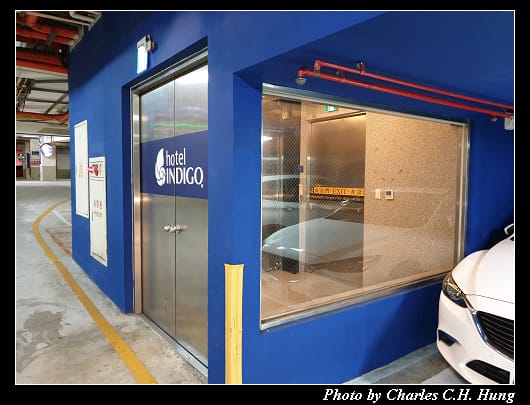 Indigo_002.jpg