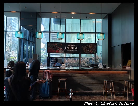 Indigo_004.jpg