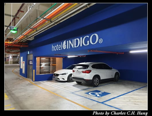 Indigo_001.jpg