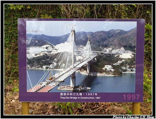 青馬_056.jpg 青馬_056.jpg