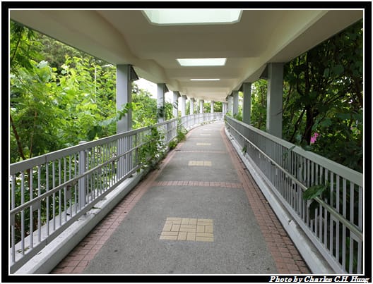青馬_035.jpg 青馬_035.jpg