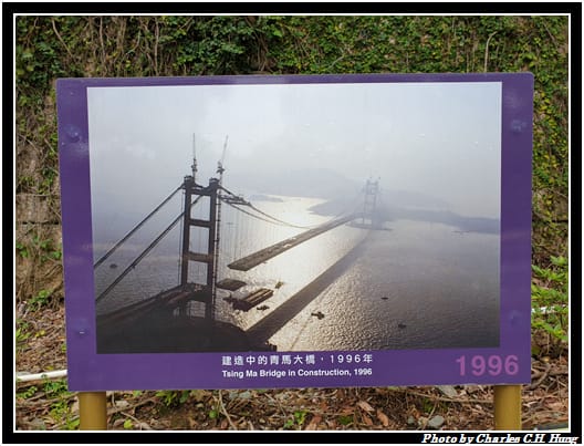 青馬_057.jpg 青馬_057.jpg