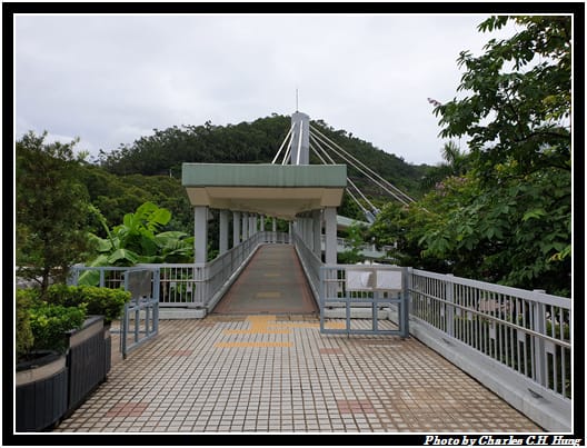 青馬_061.jpg 青馬_061.jpg