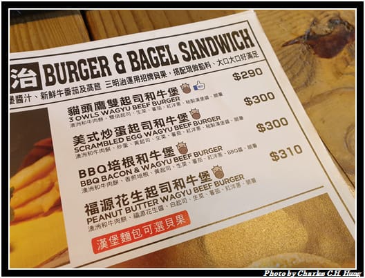 3隻貓頭鷹_016.jpg