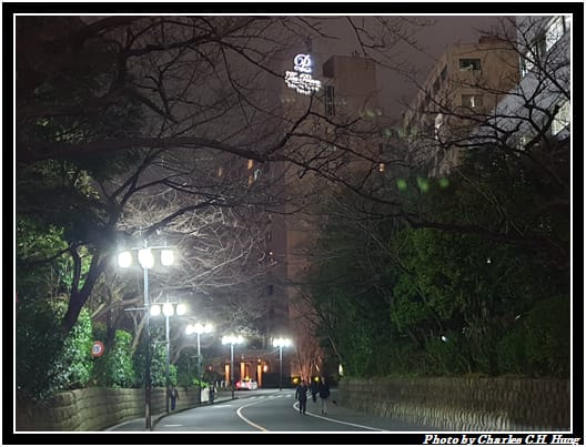 櫻花塔_001.jpg