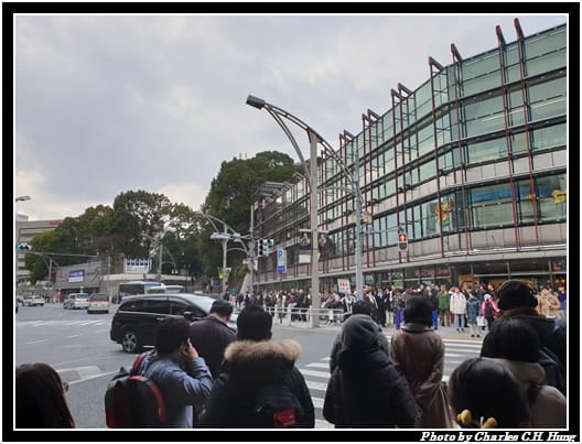 早茶_020.jpg