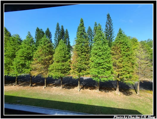 麻布山林_008.jpg 麻布山林_008.jpg