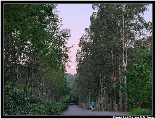 麻布山林_040.jpg 麻布山林_040.jpg