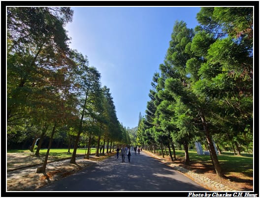 麻布山林_010.jpg 麻布山林_010.jpg