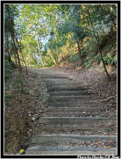 麻布山林_019.jpg 麻布山林_019.jpg