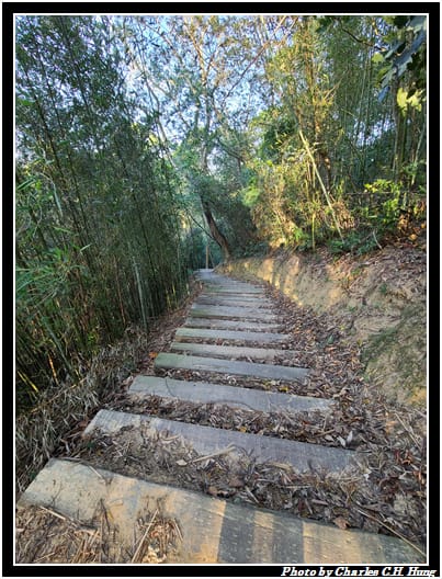 麻布山林_028.jpg 麻布山林_028.jpg