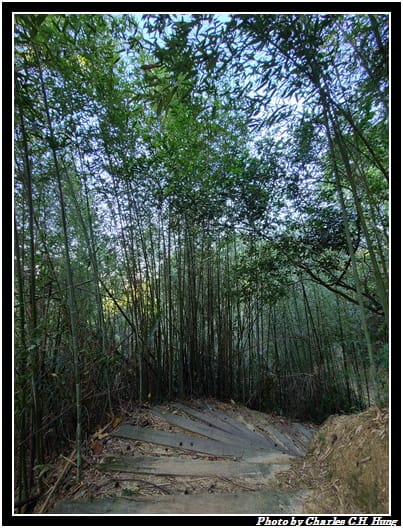 麻布山林_030.jpg 麻布山林_030.jpg
