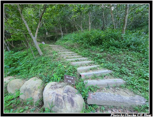 麻布山林_035.jpg 麻布山林_035.jpg