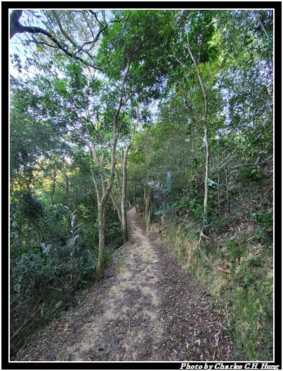 麻布山林_026.jpg 麻布山林_026.jpg