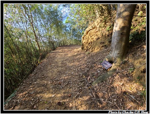 麻布山林_027.jpg 麻布山林_027.jpg