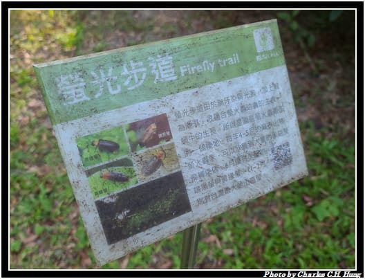 麻布山林_016.jpg 麻布山林_016.jpg