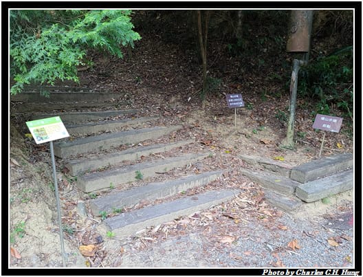 麻布山林_017.jpg 麻布山林_017.jpg