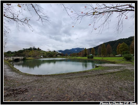 落雨松_009.jpg