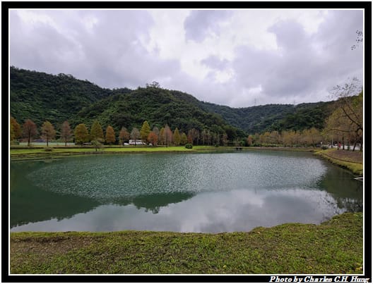 落雨松_016.jpg