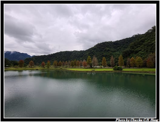 落雨松_015.jpg