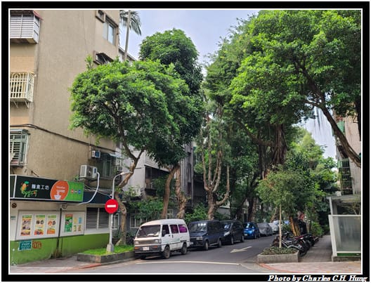 台灣藍鵲_001.jpg 台灣藍鵲_001.jpg