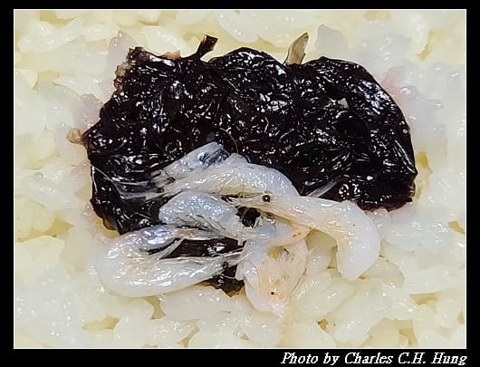 莆田_025.jpg 莆田_025.jpg