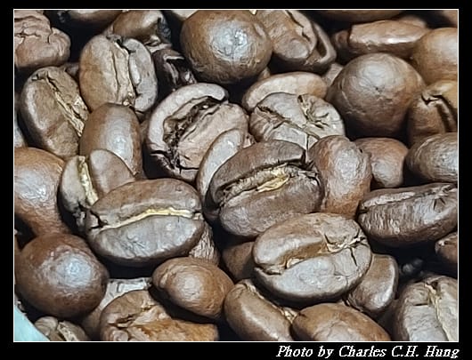 illy_010.jpg illy_010.jpg