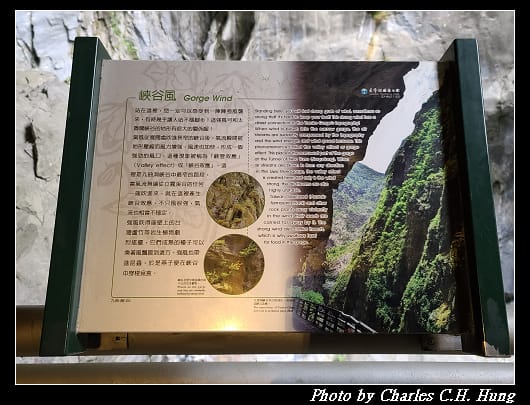 九曲洞_076.jpg