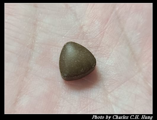 使立舒_008.jpg