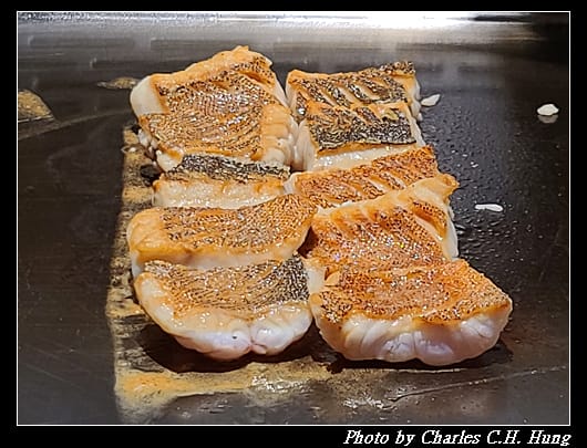 初魚_031.jpg