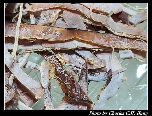 魷魚乾_010.jpg 魷魚乾_010.jpg