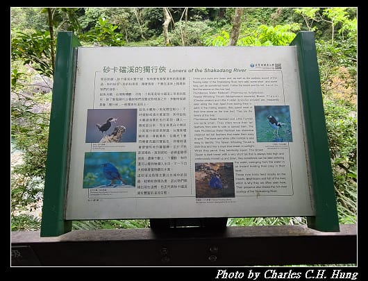 砂卡礑_030.jpg