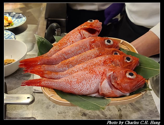 初魚_030.jpg