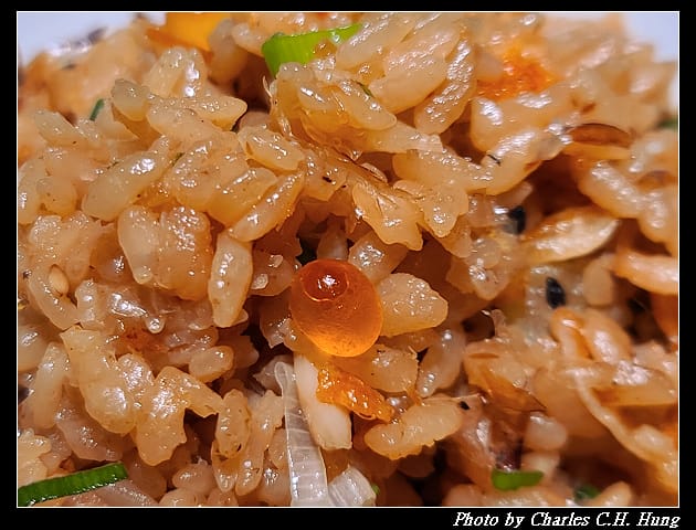 初魚_052.jpg