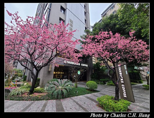 櫻花_012.jpg 櫻花_012.jpg