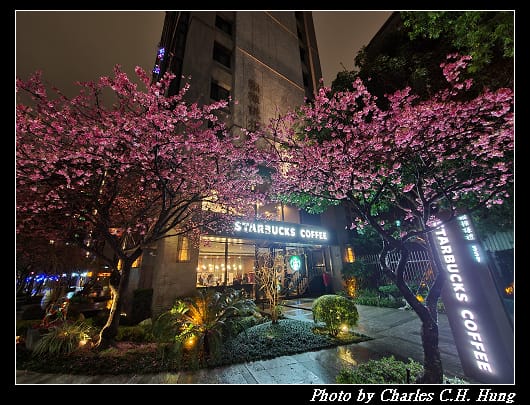 櫻花_004.jpg 櫻花_004.jpg