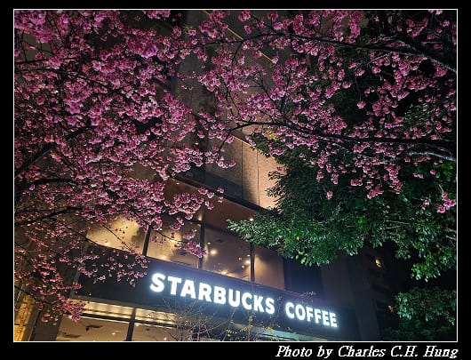 櫻花_007.jpg 櫻花_007.jpg