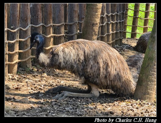 動物園_074.jpg