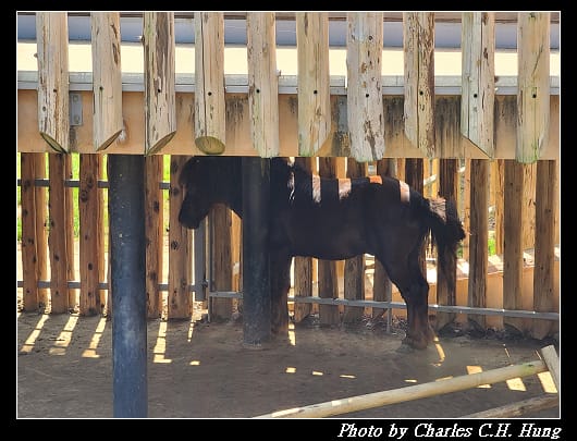 動物園_021.jpg