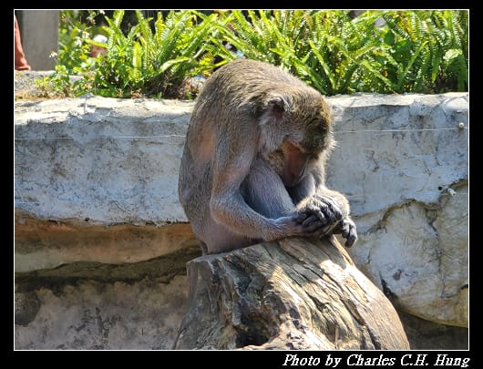 動物園_061.jpg