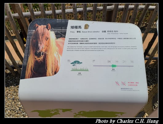 動物園_018.jpg