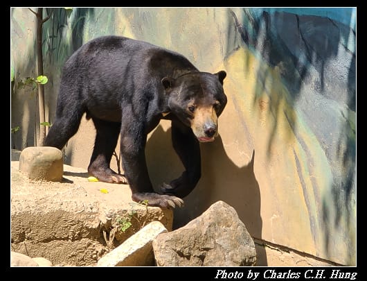 動物園_083.jpg