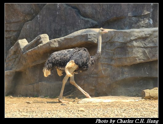 動物園_031.jpg