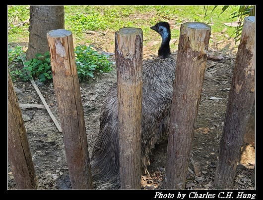 動物園_075.jpg