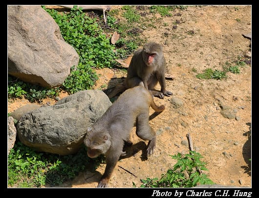 動物園_049.jpg