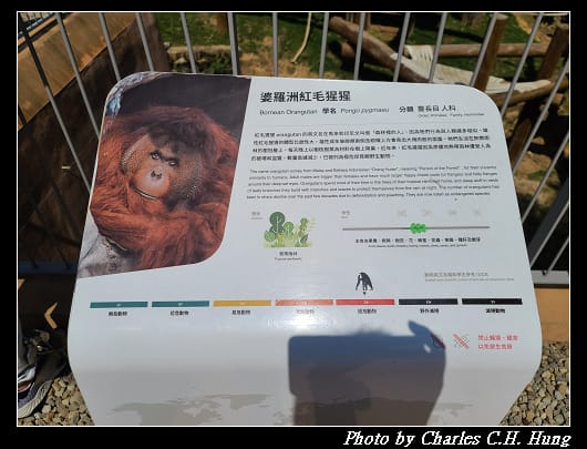 動物園_065.jpg