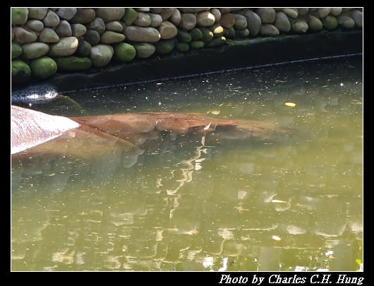 動物園_042.jpg