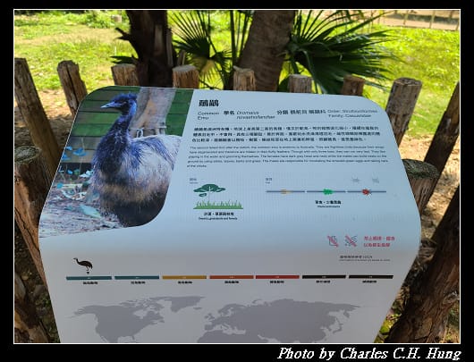 動物園_073.jpg