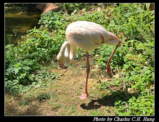 動物園_088.jpg