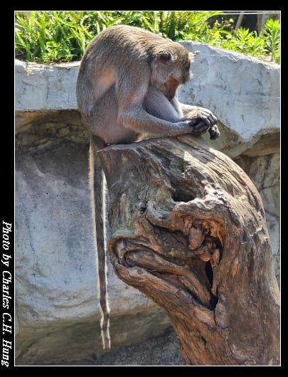 動物園_060.jpg